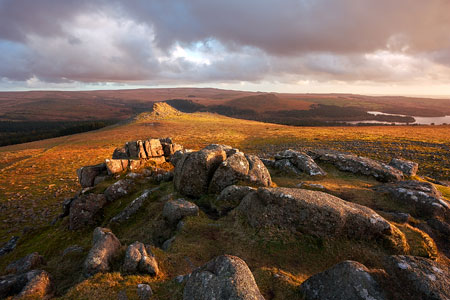 Golden light over the landscape. Leather Tor, Dartmoor